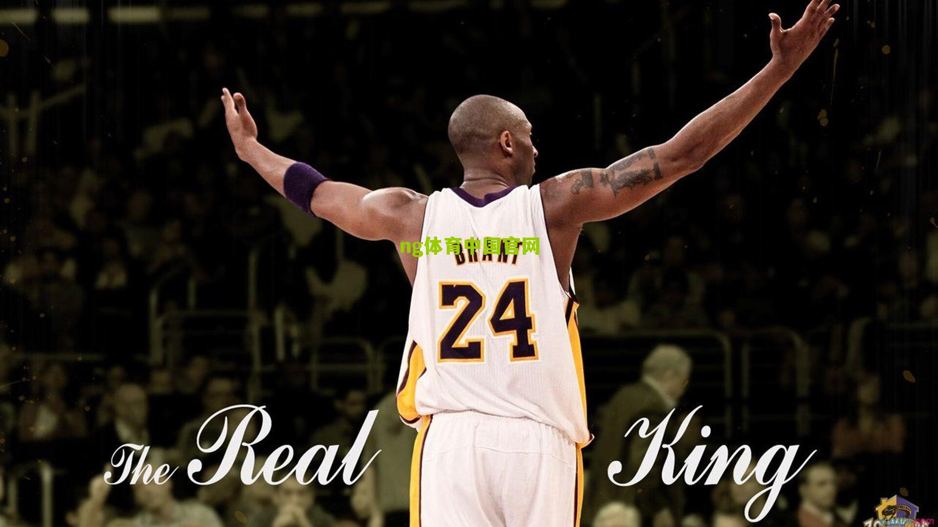 帕拉蒂奇戏剧性回归热刺执掌竞技部门,列维再押老搭档重塑球队未来