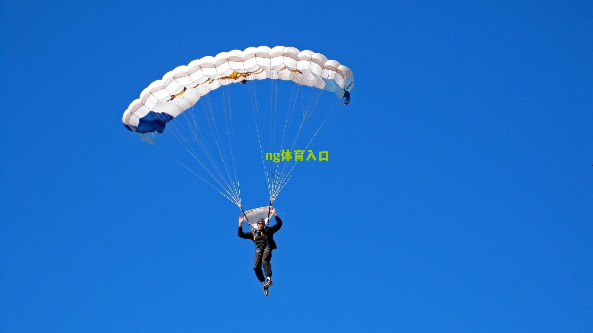 ng体育中国官网|蒂米加盟引爆联盟！美媒晒趣图，雷迪克的灭霸手套集齐五颗白人球星宝石