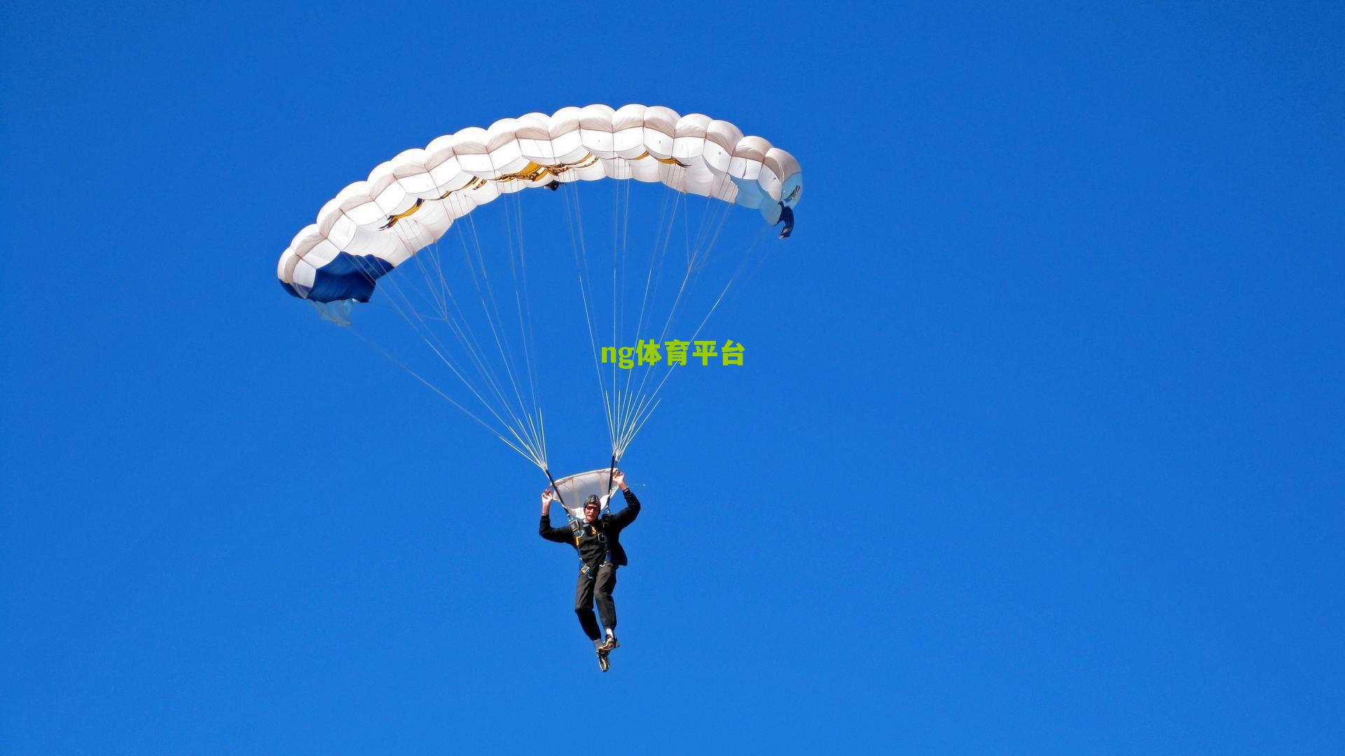 ng体育平台-拉菲尼亚，金球非所向，绿茵场上的无声誓言与汗水铸就的荣光