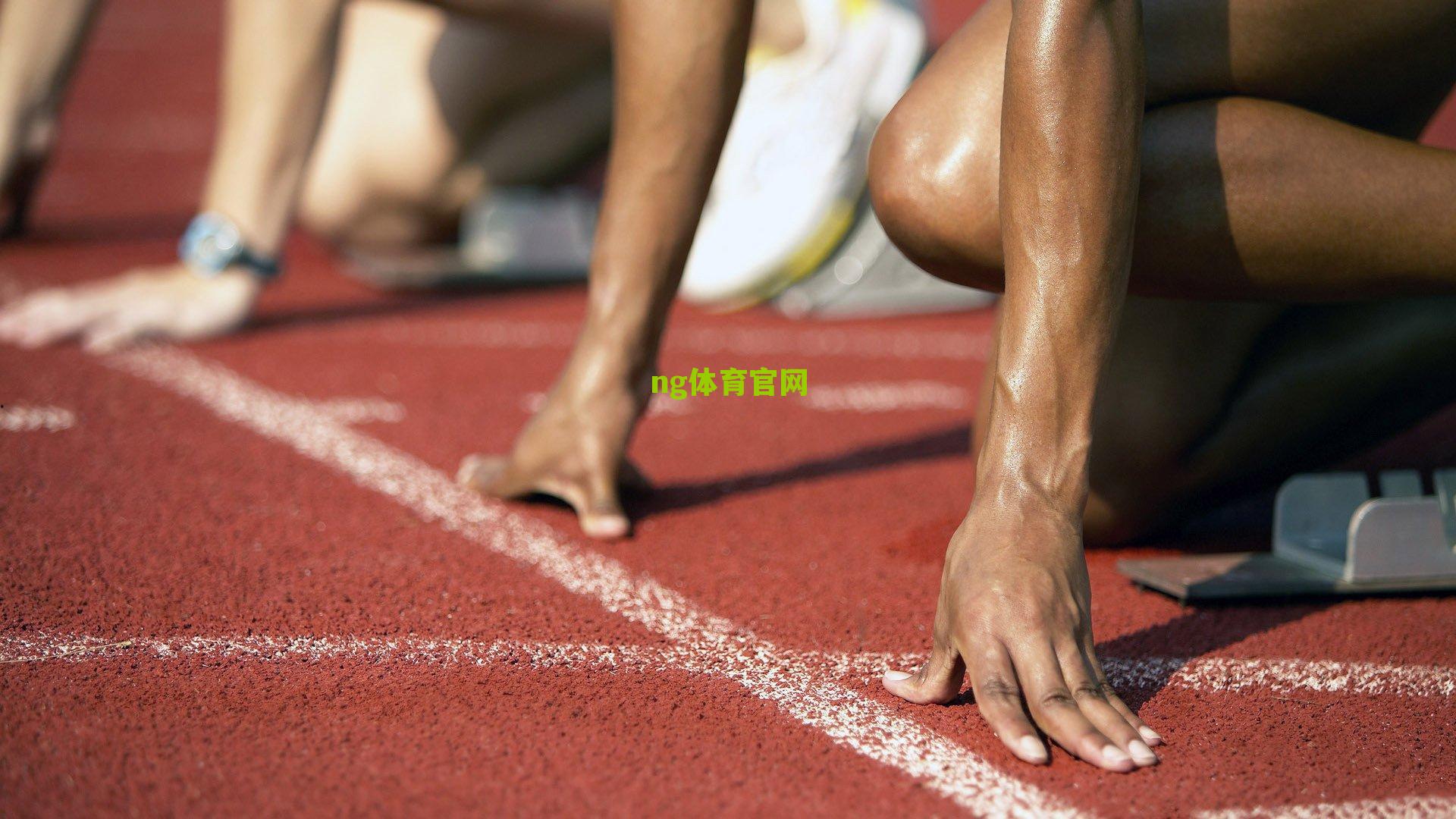 ng体育app：数据光环下的隐形人，解析紫金军团后场核心的贡献悖论